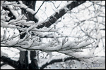 DigitalScape Photography